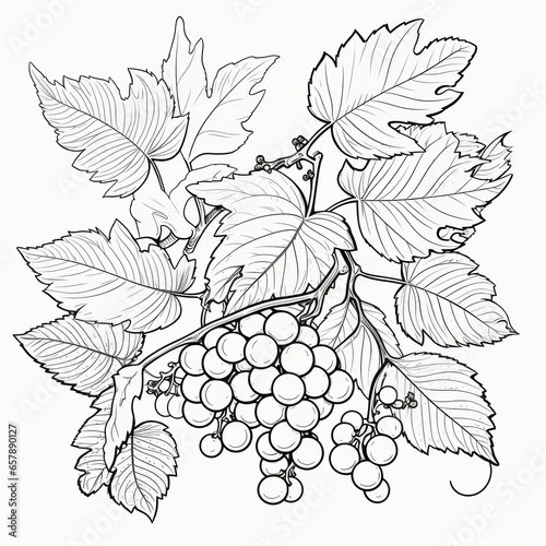 Coloring page autumn leaves and berries frame, Generative AI