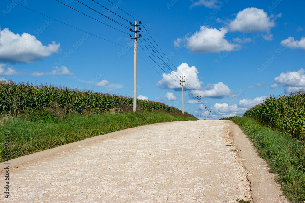 Power line and country road running through corn fields