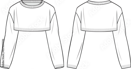 Women's Crop Sweater- Technical fashion illustration. Front and back, white color. Women's CAD mock-up.
