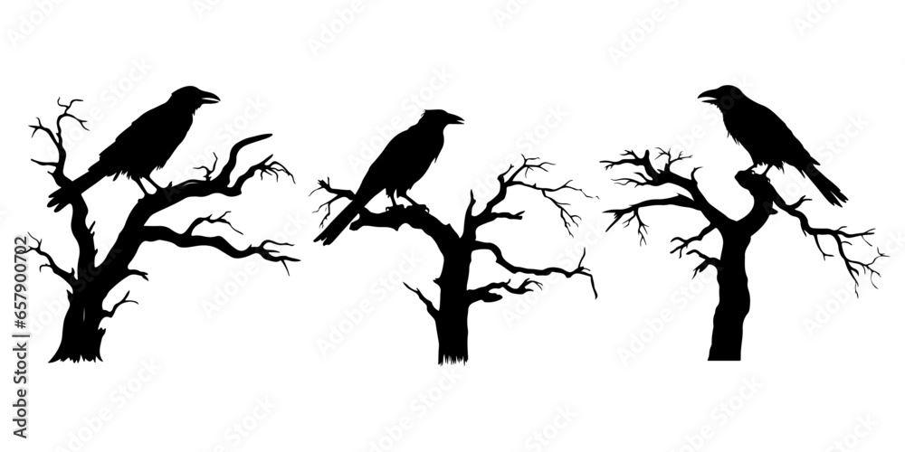 Fototapeta premium Raven Bird Silhouette Sitting at Bare Tree Branches Entrance: Spooky Halloween Night Vector Design Set with Raven Dead Tree