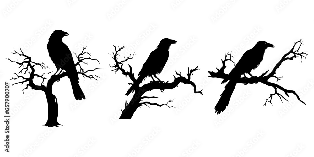 Fototapeta premium Bare Tree Branches Entrance with Silhouette Raven Bird: Spooky Halloween Night Vector Design Set, Including Raven Dead Tree