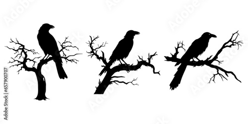 Bare Tree Branches Entrance with Silhouette Raven Bird: Spooky Halloween Night Vector Design Set, Including Raven Dead Tree