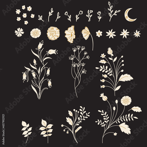 Set of Wild Flower Doodles White