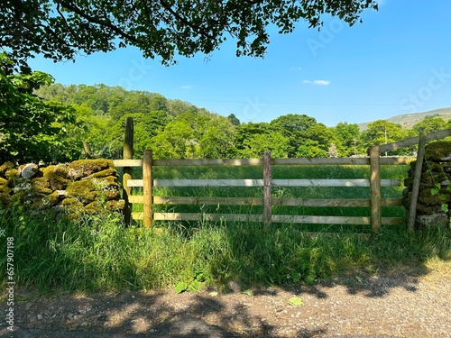 Farmgate, and moss covered dry stone walls, fields, wild grasses and plants, near the Yorkshire Dales hamlet of, Hubberholme, UK photo