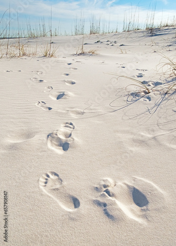 Footprints in the Sand Dunes at the Beach