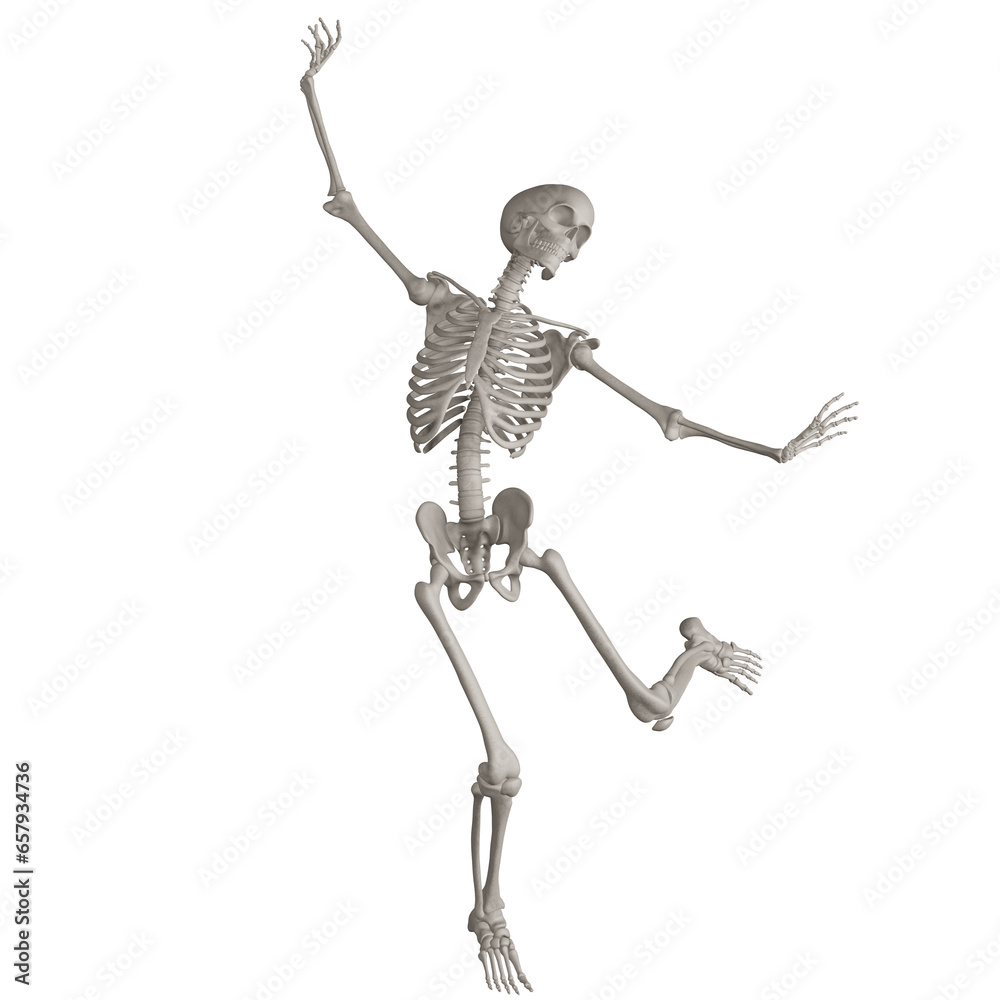 skeleton posing 3d render illustration with transparent background - obrazy, fototapety, plakaty 