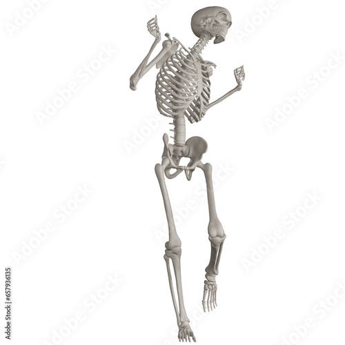 skeleton posing 3d render illustration