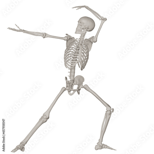 skeleton posing 3d render illustration