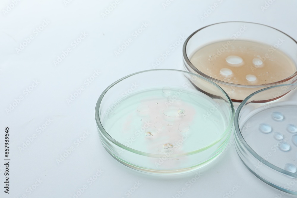 Petri dishes with color liquids on white background, closeup Petri dishes with color liquids on white background, closeup
