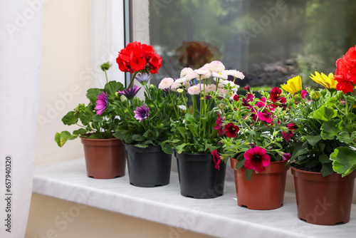 Different beautiful potted flowers on windowsill indoors