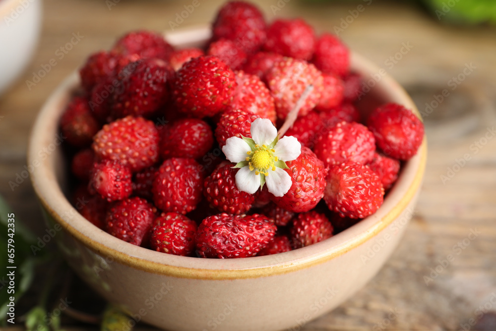 Fresh wild strawberries and flower in bowl on table, closeup Fresh wild strawberries and flower in bowl on table, closeup
