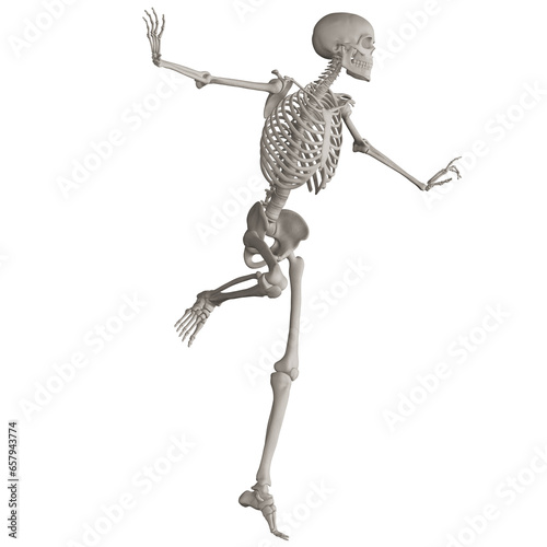 skeleton posing 3d render illustration