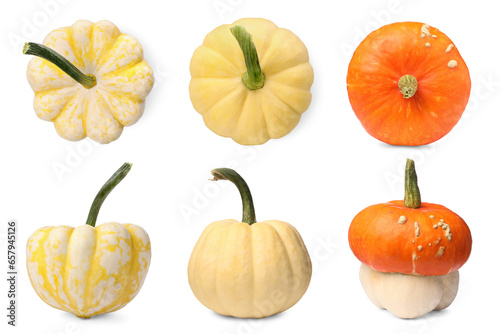 Collage of different pumpkins isolated on white, top and side views