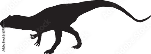 Allosaurus black silhouette isolated background