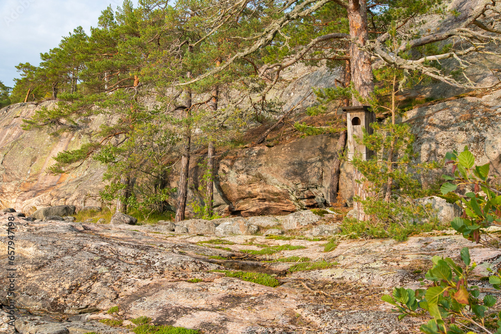 Birdhouse in an old pine in the forest Birdhouse in an old pine in the forest