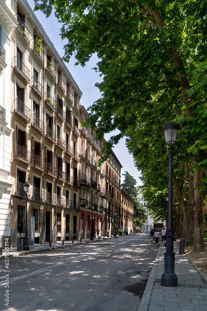 Quiet leafy street in Madrid, Spain