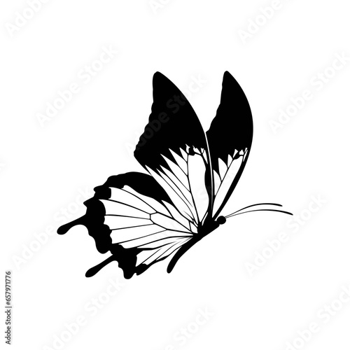 silhouette of a butterfly