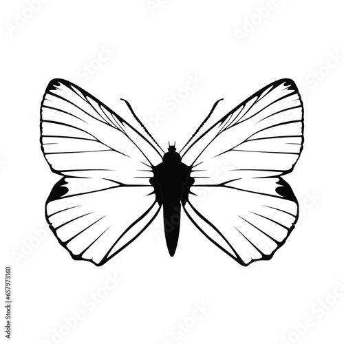 Butterfly black and white silhouette