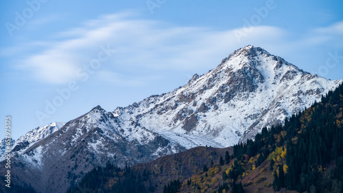 autumn in the foothills. snowy mountain peaks. forest at the foot of the mountains