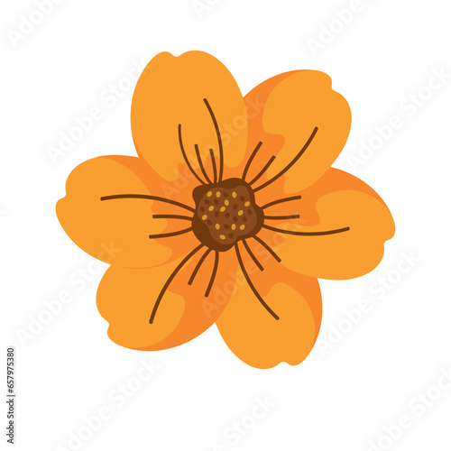flower blossom illustration