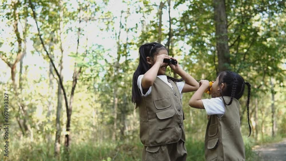 Two little explorer Walking and learning nature and look for living things in the forest Two little explorer Walking and learning nature and look for living things in the forest