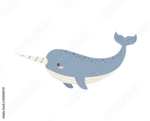 arctic animal narwhal