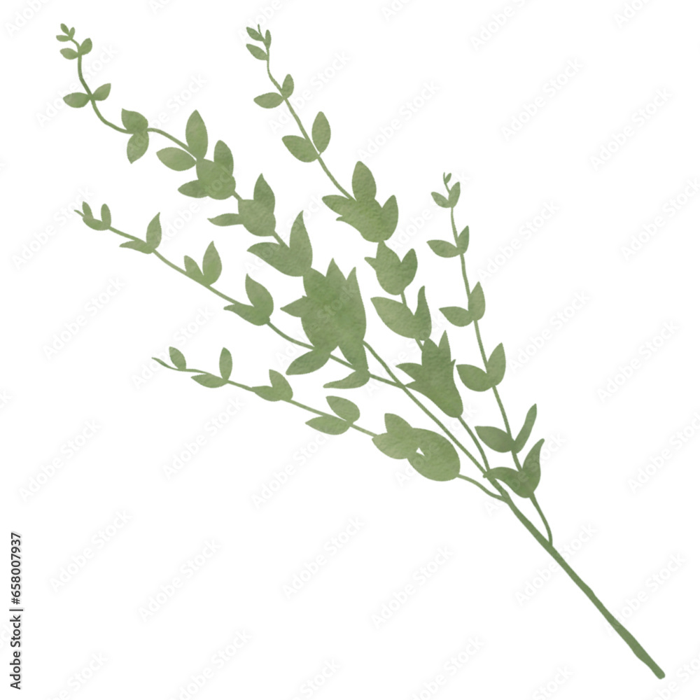 branch of a tree isolated on white background branch of a tree isolated on white background