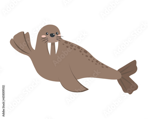 arctic animal walrus