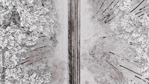 Aerial view of white forest and snowy road in winter.