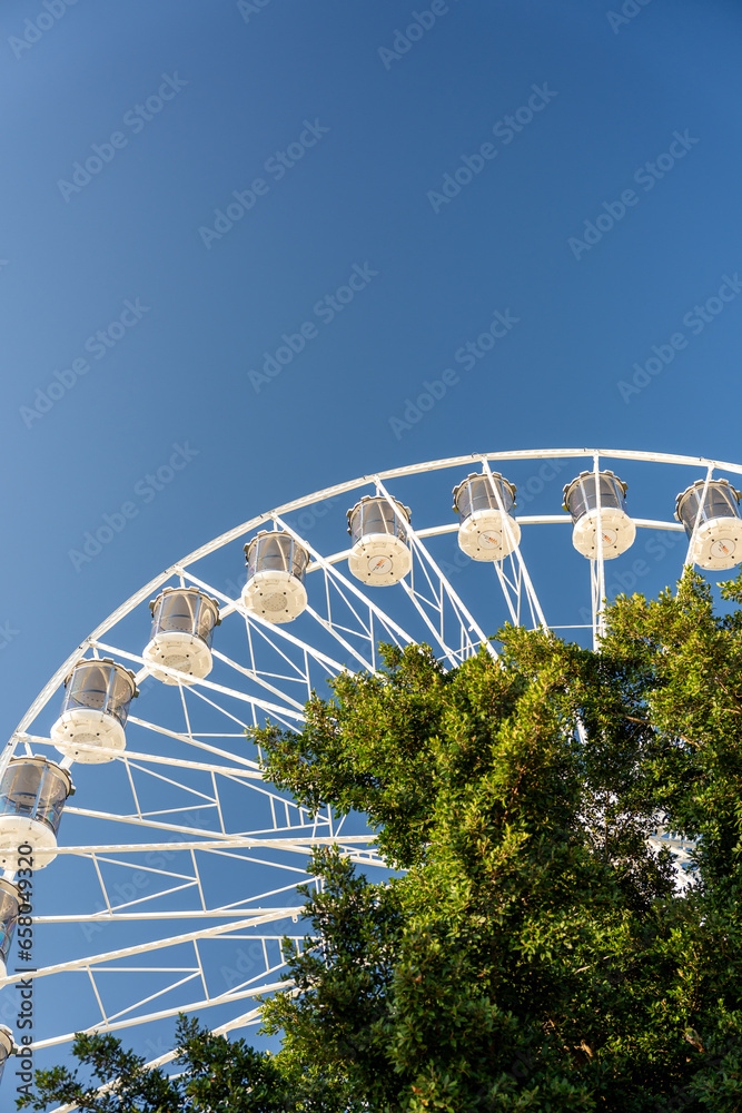 Fototapeta premium Experience the ultimate holiday in Australia, a land of adventure and relaxation, where stunning landscapes, vibrant cities, and unique wildlife combine to create unforgettable memories for travelers