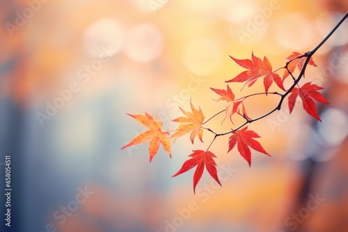 Autumn  © Kanokmai