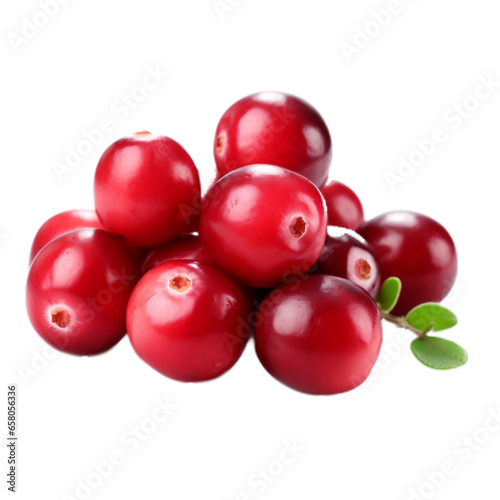 Fruit Cranberries isolate no background