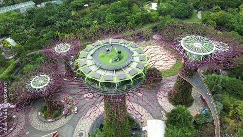 Supertree Observatory in Gardens By The Bay, Singapore (aerial view) photo