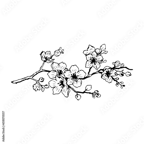 Black and white flower bouquet illustration