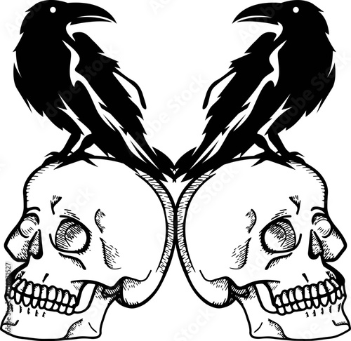 Black and white crow sitting on skull illustration