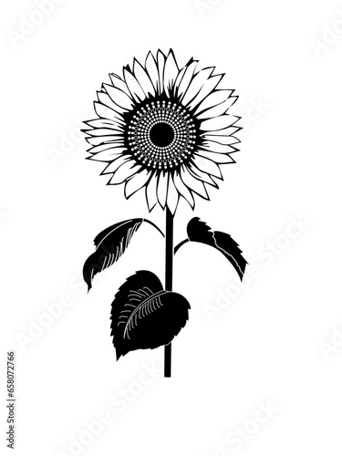 Black and white sunflower vector illustration
