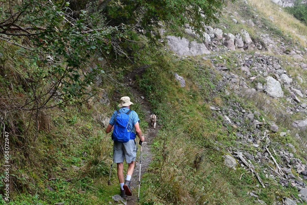 Mann und sein Lagotto Romagnolo Hund wandern in der Nähe des Gampenpass in Südtirol 