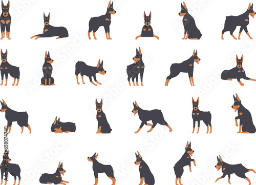 Doberman pinscher icons set cartoon vector. Angry animal. Head canine