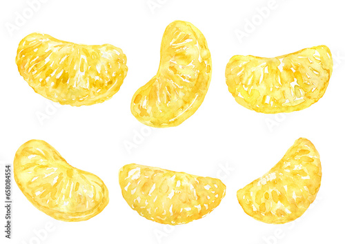 はっさくの中身の房　水彩イラスト