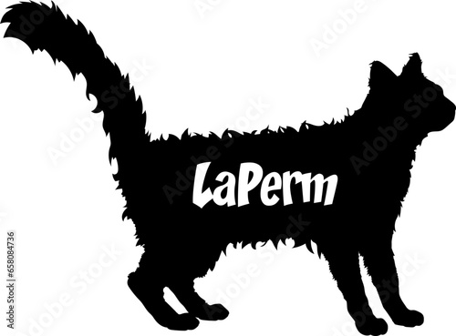 Foto LaPerm bundle cat, cat breeds, cat silhouette, monogram cat