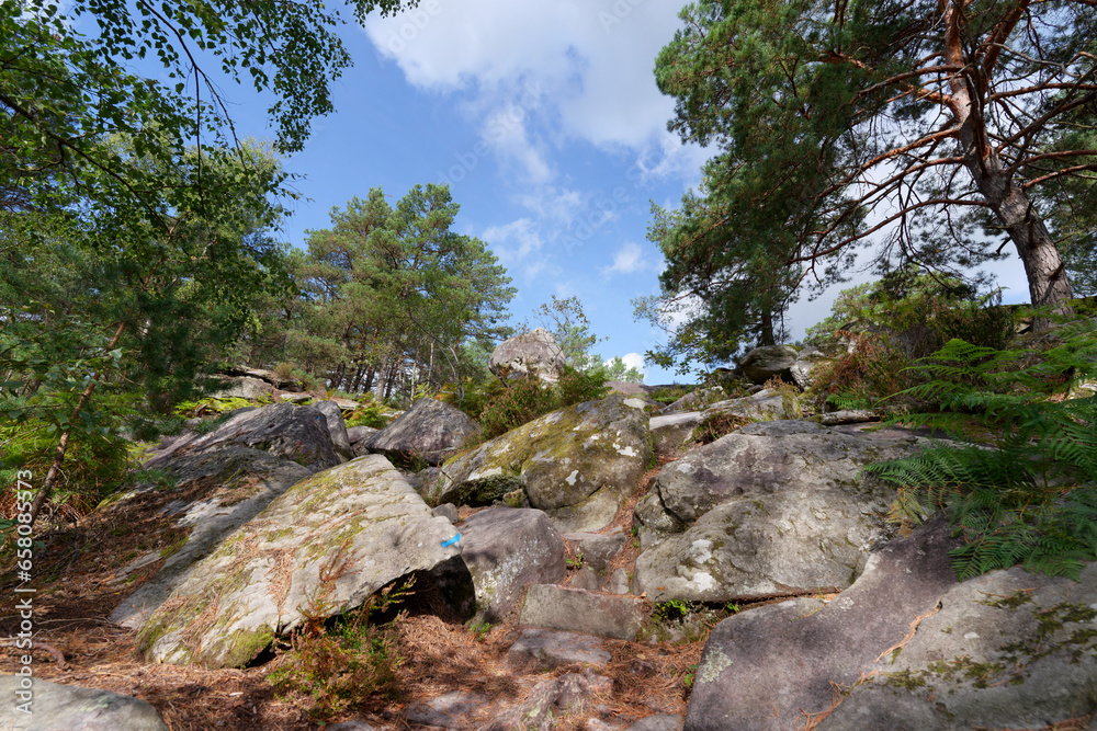 Forest path and rocky chaos in the Franchard gorges. Fontainebleau forest Forest path and rocky chaos in the Franchard gorges. Fontainebleau forest