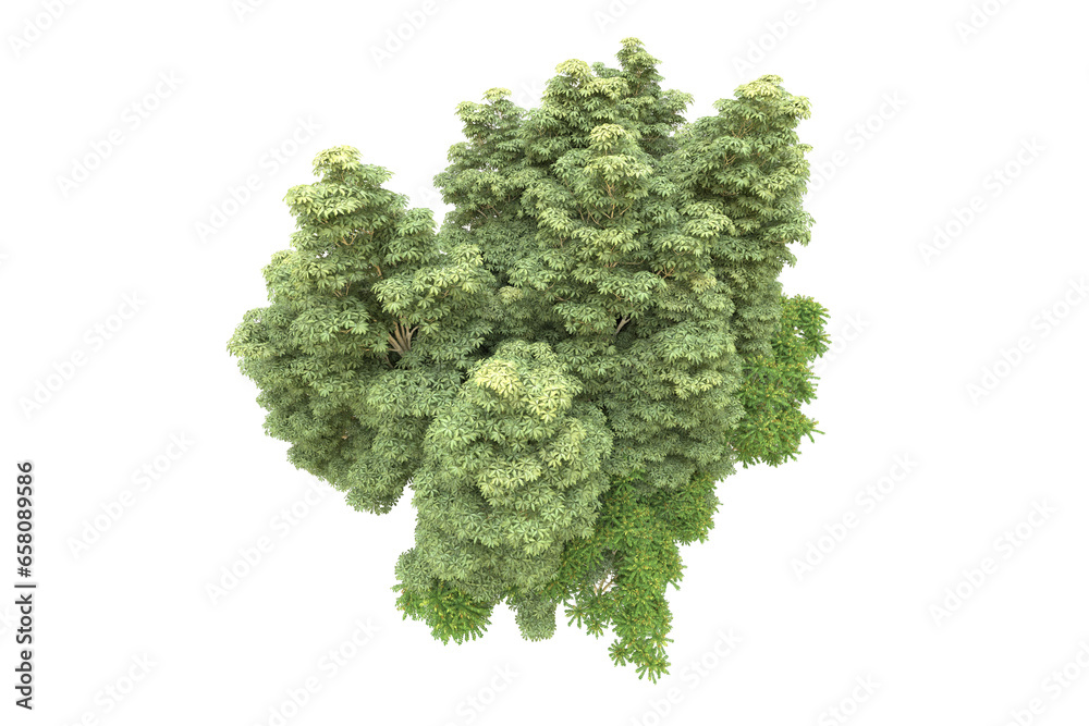 Realistic forest isolated on transparent background. 3d rendering - illustration