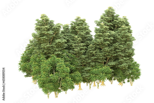 Realistic forest isolated on transparent background. 3d rendering - illustration