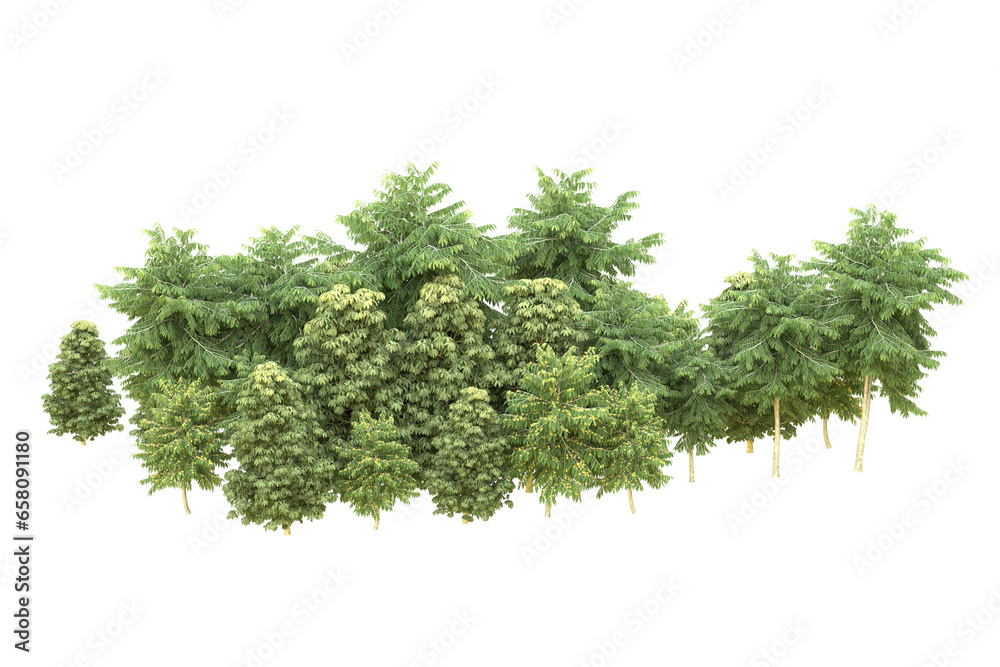 Obraz premium Realistic forest isolated on transparent background. 3d rendering - illustration