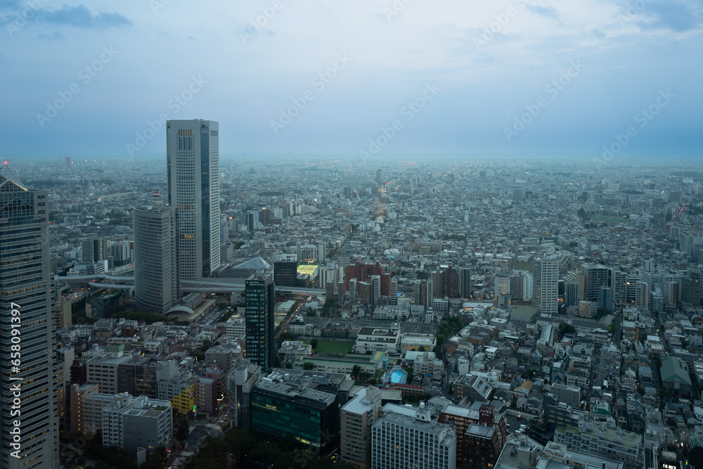 Asia, Japan Tokio, landscape, city scape from Tokio Tower 