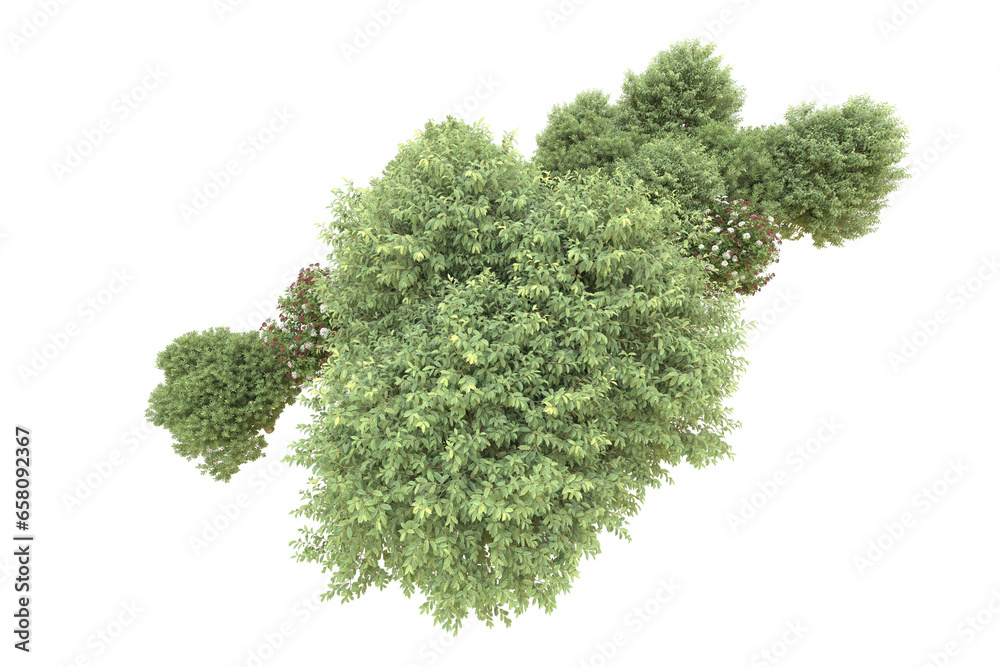 Realistic forest isolated on transparent background. 3d rendering - illustration Realistic forest isolated on transparent background. 3d rendering - illustration