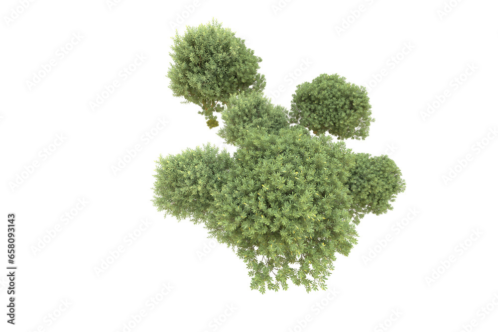Realistic forest isolated on transparent background. 3d rendering - illustration Realistic forest isolated on transparent background. 3d rendering - illustration
