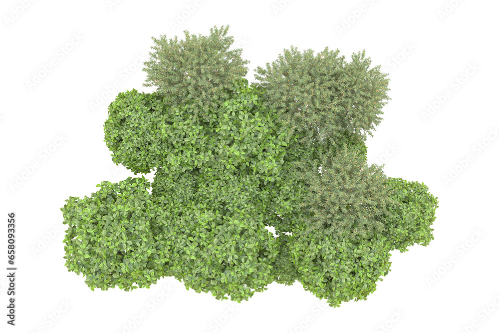 Realistic forest isolated on transparent background. 3d rendering - illustration