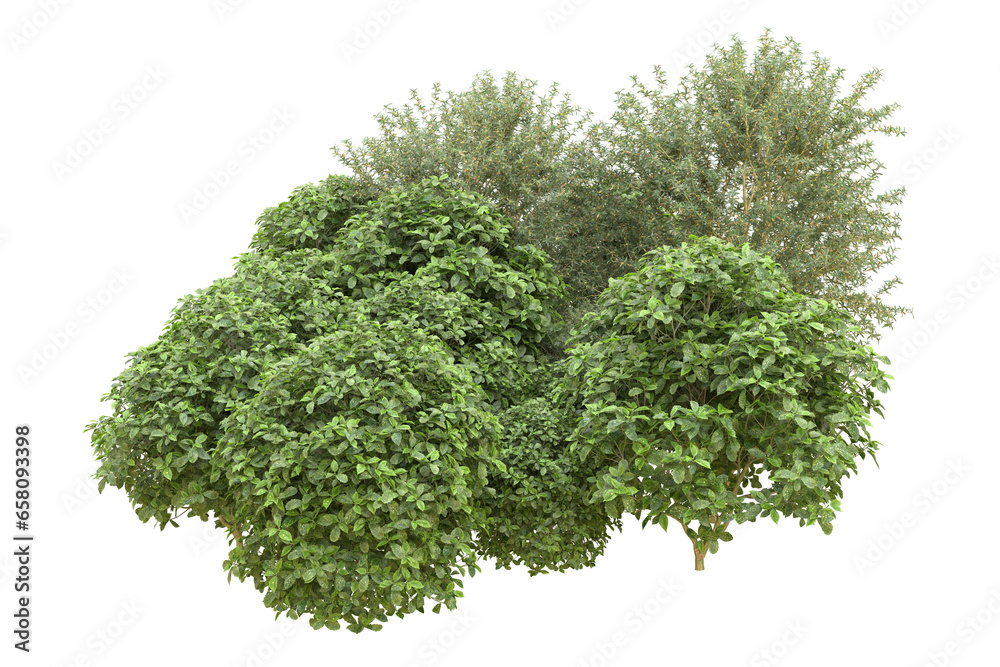 Obraz premium Realistic forest isolated on transparent background. 3d rendering - illustration