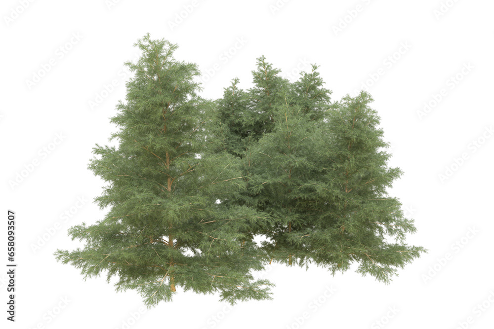 Fototapeta premium Realistic forest isolated on transparent background. 3d rendering - illustration